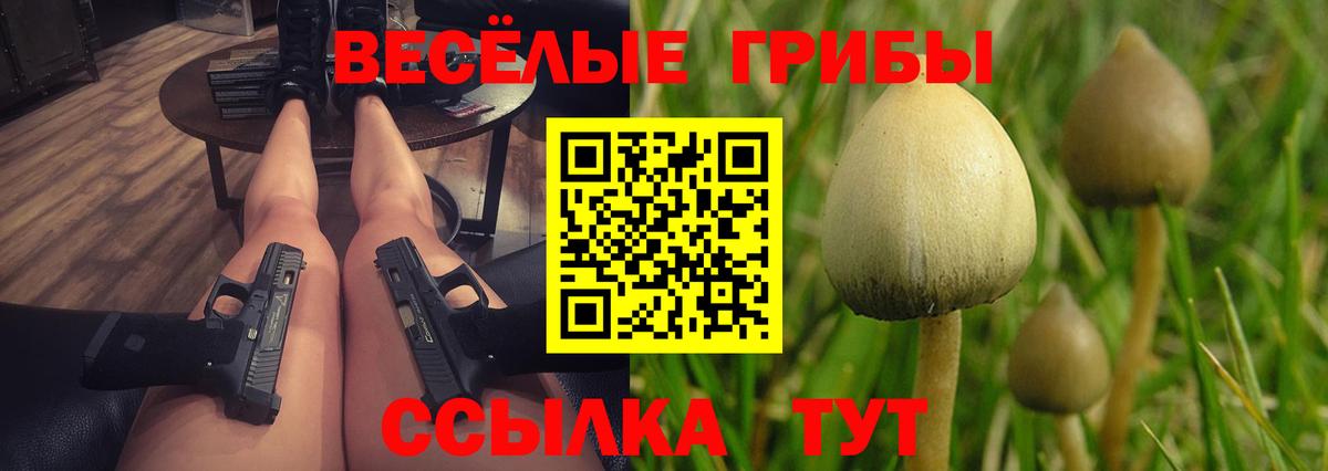 Псилоцибиновые грибы мицелий  Вход с VPN  Владивосток  Псилоцибиновые грибы MAGIC MUSHROOMS 